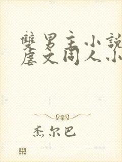 双男主小说推荐虐文同人小说完结