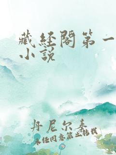 藏经阁第一版主小说
