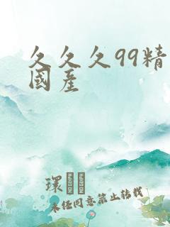 久久久99精品国产