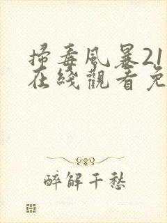 扫毒风暴21集在线观看免费