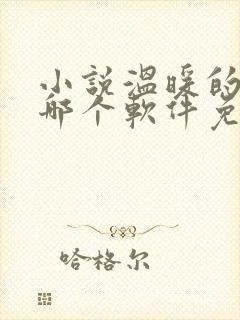 小说温暖的季风哪个软件免费