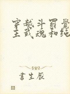 穿越斗罗觉醒圣主武魂和纯阳剑