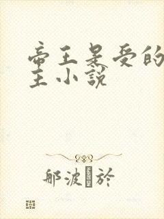 帝王是受的双男主小说