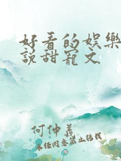 好看的娱乐圈小说甜宠文