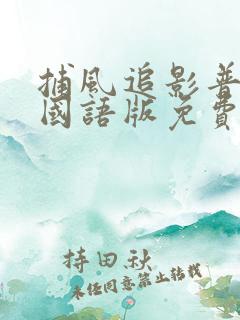 捕风追影普通话国语版免费观看