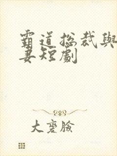 霸道总裁与小娇妻短剧