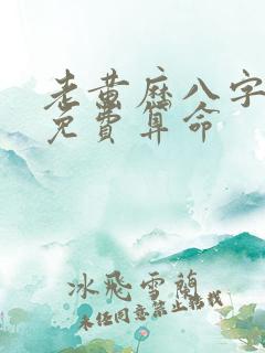 老黄历八字算命免费算命