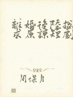 离婚后陆总跪着求原谅短剧免费观看