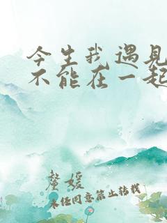 今生我遇见你却不能在一起是什么歌