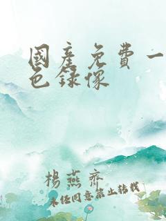 国产免费一级黄色录像