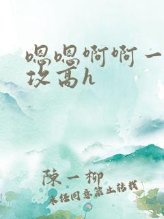 嗯嗯啊啊一受三攻高h