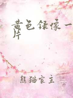 黄色录像一级一片