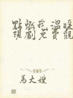 点燃我温暖你电视剧免费观看23集