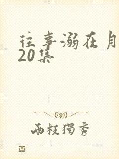 往事溺在月光第20集