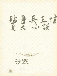 贴身兵王俏总裁夏天 小说