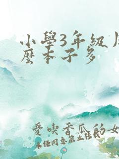 小学3年级用什么本子多