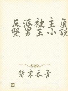 反派被主角受压双男主小说