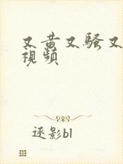 又黄又骚又爽的视频