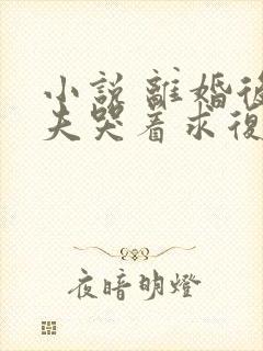 小说 离婚后前夫哭着求复婚