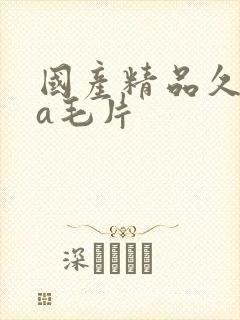 国产精品久久久a毛片