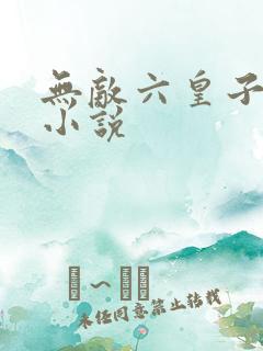 无敌六皇子免费小说
