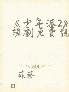 《少年派2》电视剧免费观看