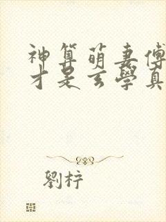 神算萌妻傅太太才是玄学真大佬锦朝朝傅霆渊