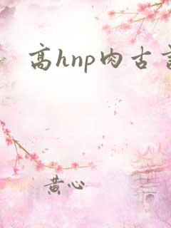 高hnp肉古言