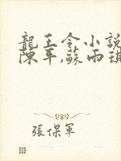 龙王令小说免费陈平,苏雨琪