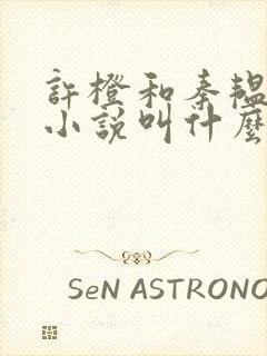 许橙和秦韫原著小说叫什么名字