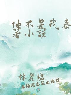 他不是我泰剧原著小说