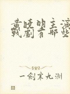 黄晓明主演的谍战剧有哪些