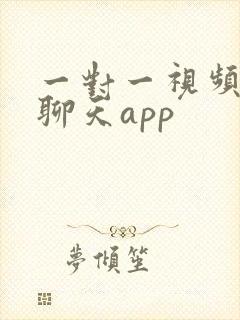 一对一视频交友聊天app