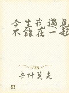 今生我遇见你却不能在一起是什么歌