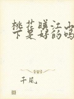 桃花映江山三殿下是好的吗