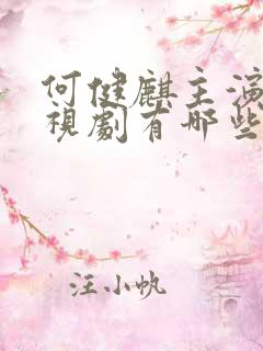 何健麒主演的电视剧有哪些