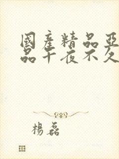 国产精品亚洲精品午夜不久久