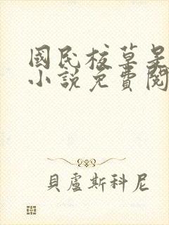 国民校草是女生小说免费阅读