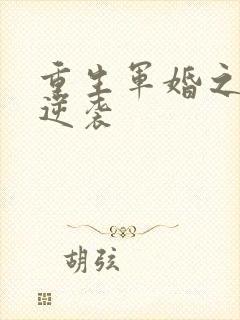 重生军婚之肥妻逆袭