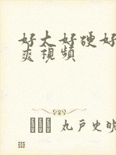 好大好硬好猛好爽视频