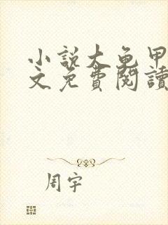 小说大龟甲师全文免费阅读完整版