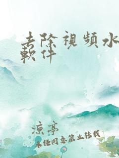 去除视频水印的软件