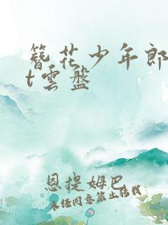 簪花少年郎txt云盘