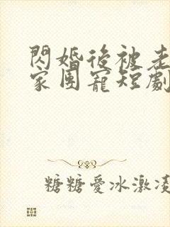 闪婚后被老公全家团宠短剧在线观看全集