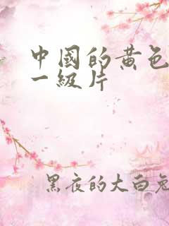 中国的黄色录像一级片