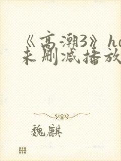 《高潮3》hd未删减播放