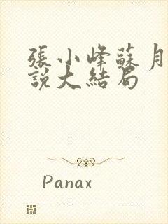 张小峰苏月白小说大结局