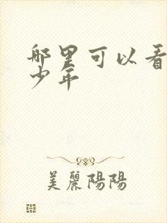 哪里可以看鸣龙少年