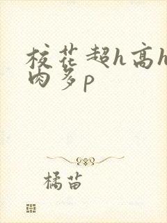 校花超h高h污肉多p