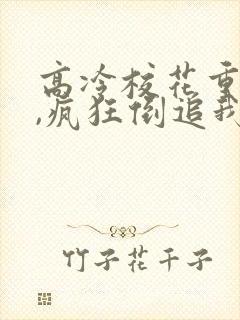 高冷校花重生了,疯狂倒追我视频全集